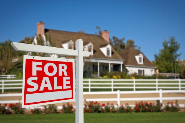 Sarasota Real Estate