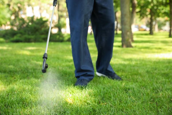 Sarasota Lawn Treatment