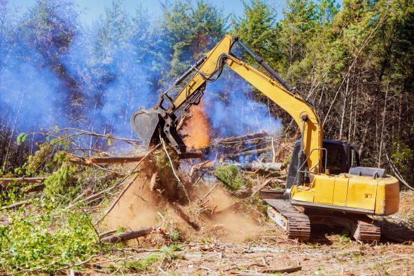 Sarasota Land Clearing